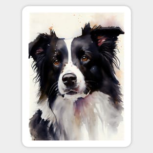 Black and White Border Collie Watercolor Portrait Sticker